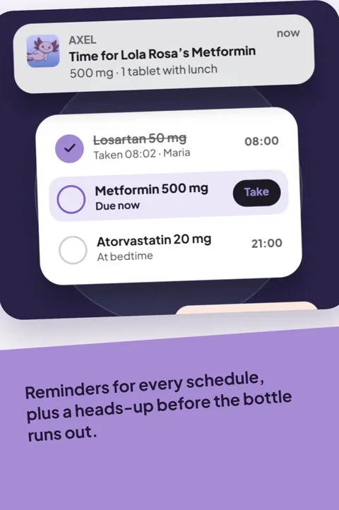 A reminder for Lola Rosa's Metformin above today's dose list.